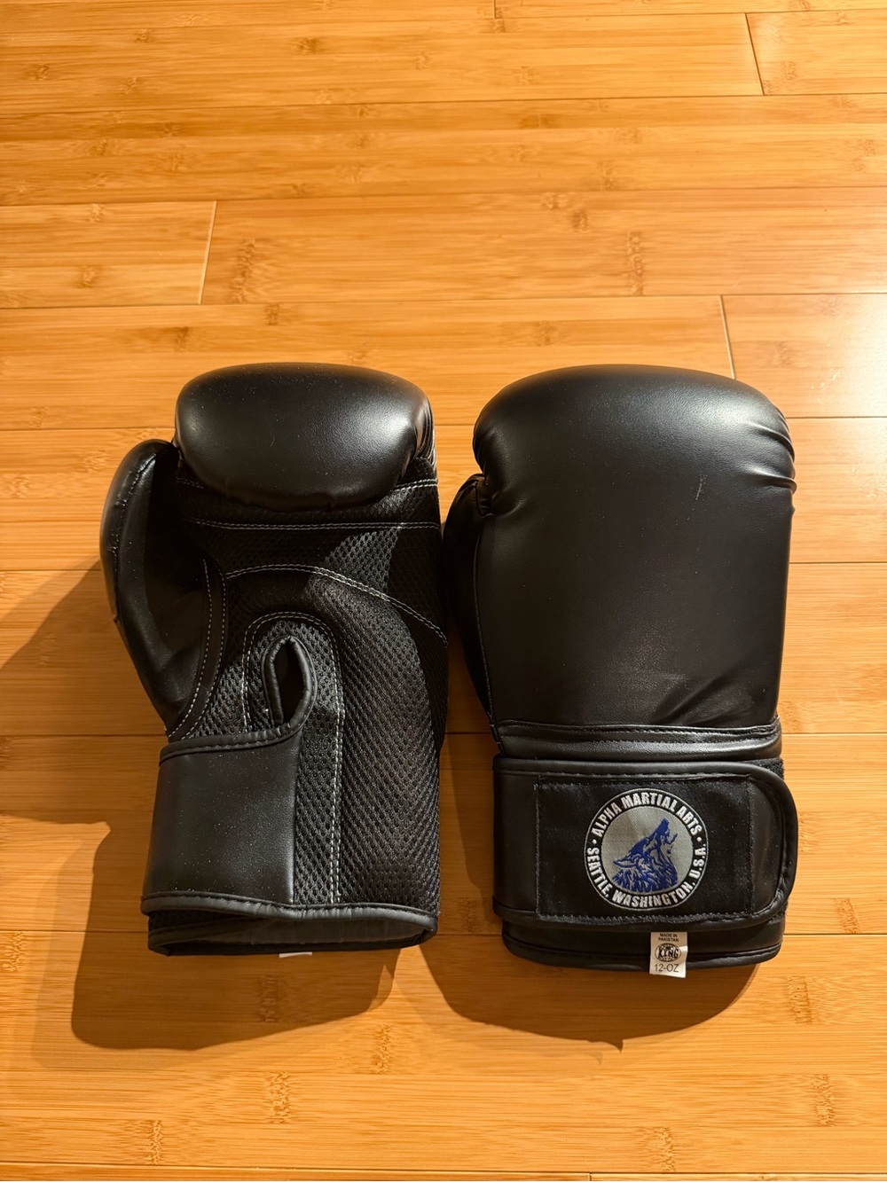 Boxing / Kickboxing Gloves – Black — 12 oz Unisex